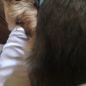 Meet your Posher, Maddi